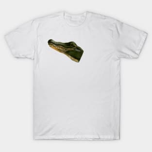 Alligator T-Shirt